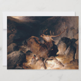 Hjort och Hound Hundar i bergsberget Torrent Kort