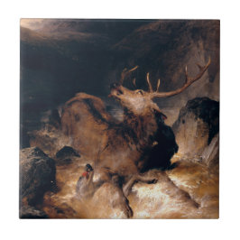 Hjort och Hound Hundar i en ström av torrential St Kakelplatta