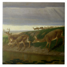 Hjort om Prairie (av William Holbrook Beard)
