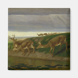 Hjort om Prairie (av William Holbrook Beard) Magnet