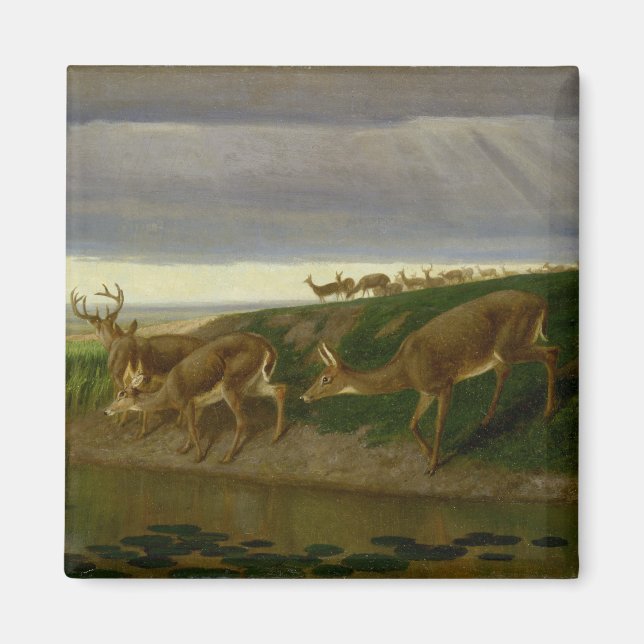 Hjort om Prairie (av William Holbrook Beard) Magnet (Framsidan)