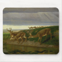 Hjort om Prairie (av William Holbrook Beard)