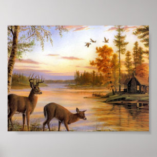Hjort på sjön poster