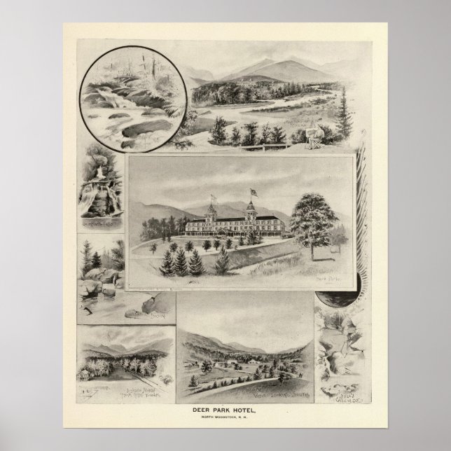 Hjort Park Hotel Poster (Framsidan)