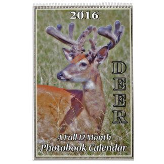 Hjort Photo Bok Kalender2 Kalender