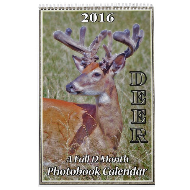 Hjort Photo Bok Kalender2 Kalender (Omslag)
