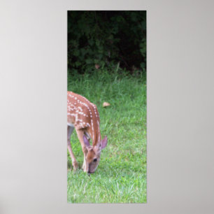 Hjort Photo Poster