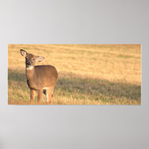 Hjort Photo Poster