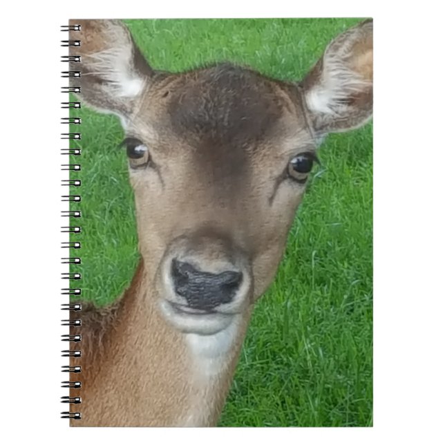 Hjort Porträtt Fotography Wildlife Anteckningsbok (Framsidan)