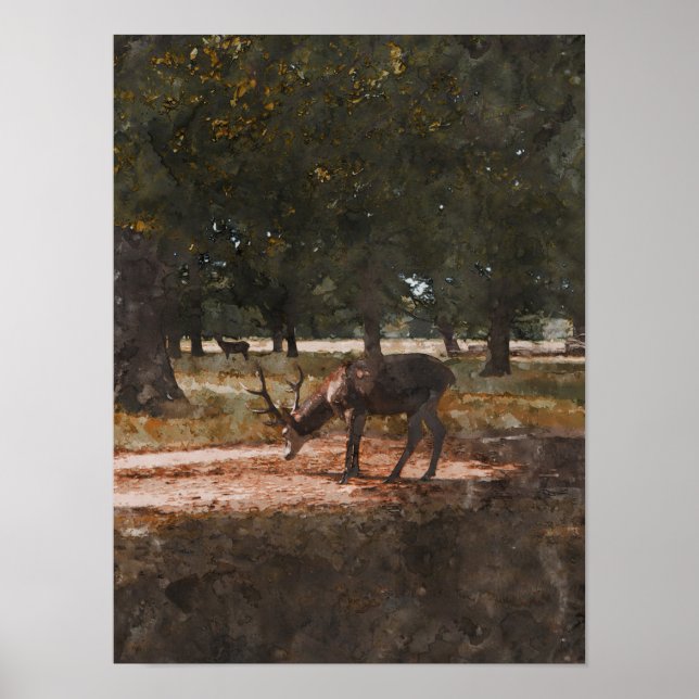 Hjort Poster (Framsidan)