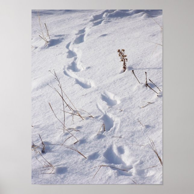 Hjort Prints Snö Poster (Framsidan)