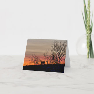 Hjort silhouette vid solnedsatt blank notecard. tack kort