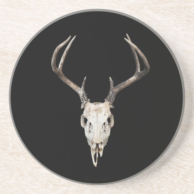Hjort Skull - Buck Antlers - Outfitter - Taxidermy Underlägg (Framsidan)