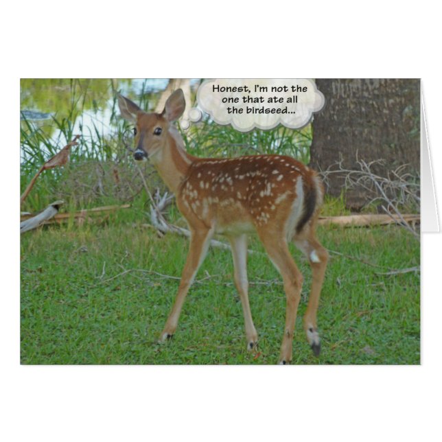 Hjort som funderar på fågelfrön OBS kort (Framsidan Horizontal)