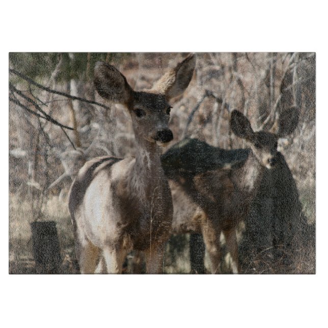 Hjort som säger hej (Framsidan)