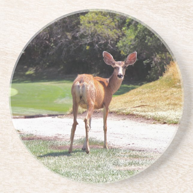 hjort som tittar på dig underlägg sandsten (Framsidan)
