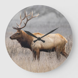 Hjort Stag Animals Wildlife Nature Buck Stor Klocka
