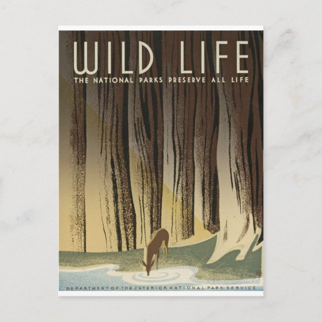 Hjort & ström vykort (Framsida)