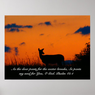 Hjort Sunset Poster