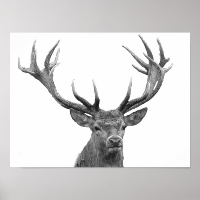 Hjort Svart Vitt Stuga Stil Modern Plakat Poster (Framsidan)