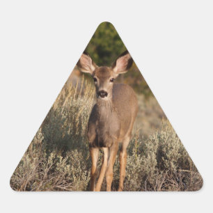 Hjort Triangle Sticker Triangelformat Klistermärke
