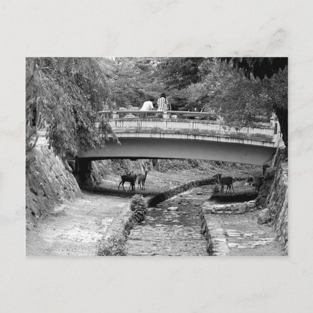 Hjort under en japansk Bridge Vykort (Framsida)