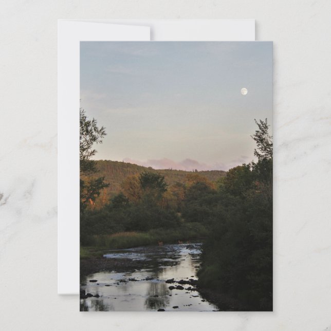 Hjort under Måne (Framsida)