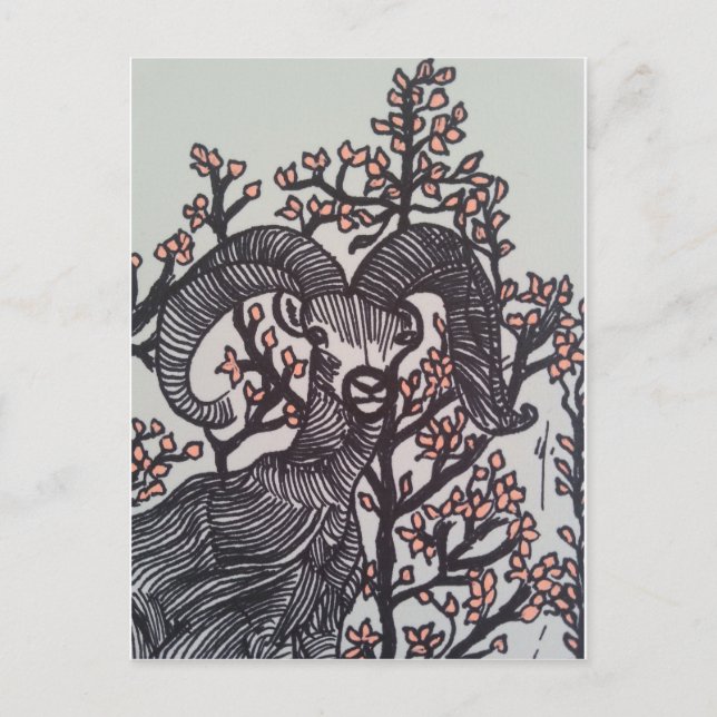 Hjort Vykort (Framsida)