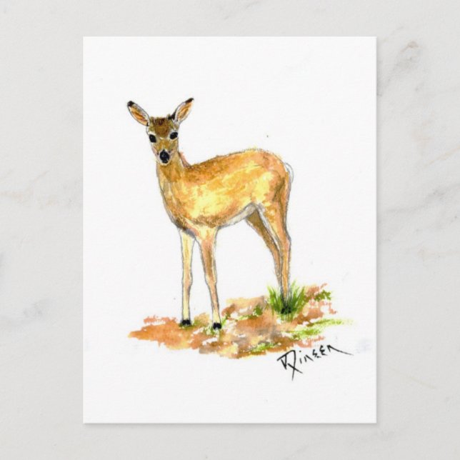 Hjort Wildlife-vykort Vykort (Framsida)