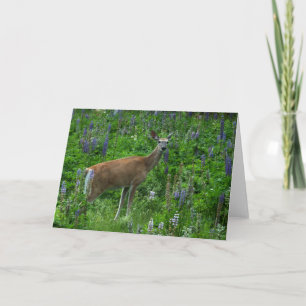Hjortar mellan Lupines Kort