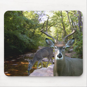Hjortbäck Mousepad 01 Musmatta