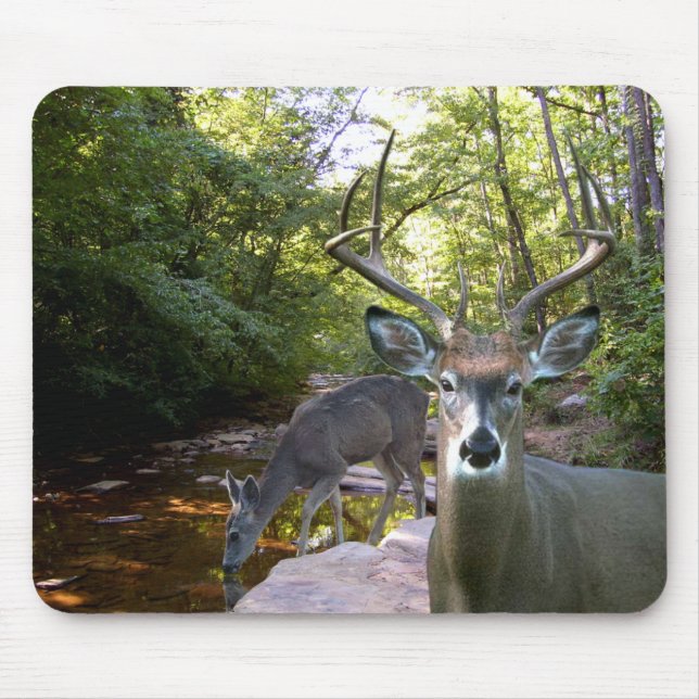 Hjortbäck Mousepad 01 Musmatta (Framsidan)