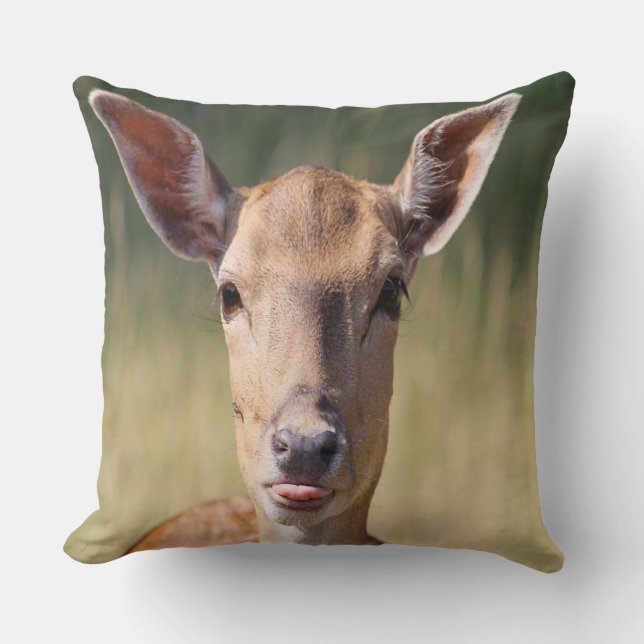 Hjorten fånig kudde (Framsida)