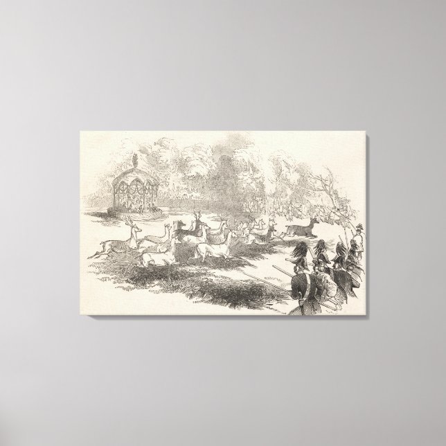 Hjorten Shooting at Gotha Canvastryck (Framsida)