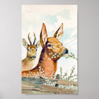 Hjorten vintage Poster