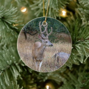 Hjortens julprydnad julgransprydnad keramik