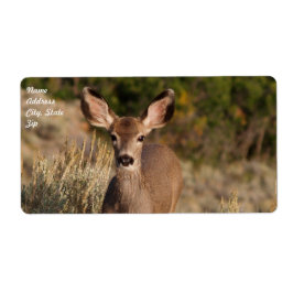 Hjortens transportetikett fraktsedel