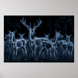 Hjortflock Natt Röntgen Poster