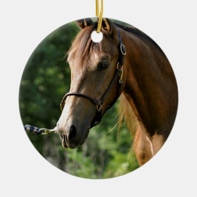 HjortläderMorgan häst Julgransprydnad Keramik (Framsidan)