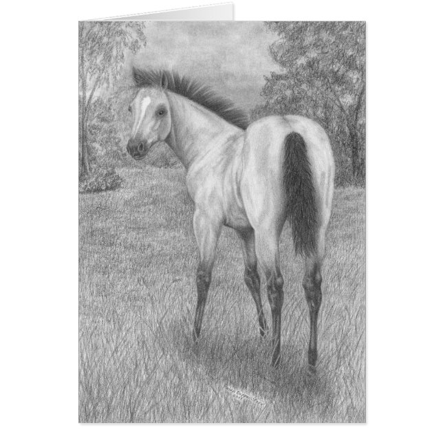 Hjortläderungsto Hälsningskort (Framsidan)