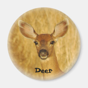 Hjortmagnet Magnet