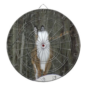 Hjortpilen stiger ombord darttavla