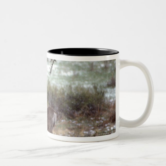Hjortspring Två-Tonad Mugg (Höger)