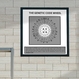 Hjul för den genetiska koden poster