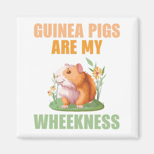 Hjulets magnet