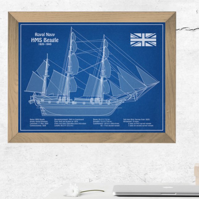 HMS Beagle Tall-Frakt - Frakt Blueprint ABD Fototryck (Skapare uppladdad)