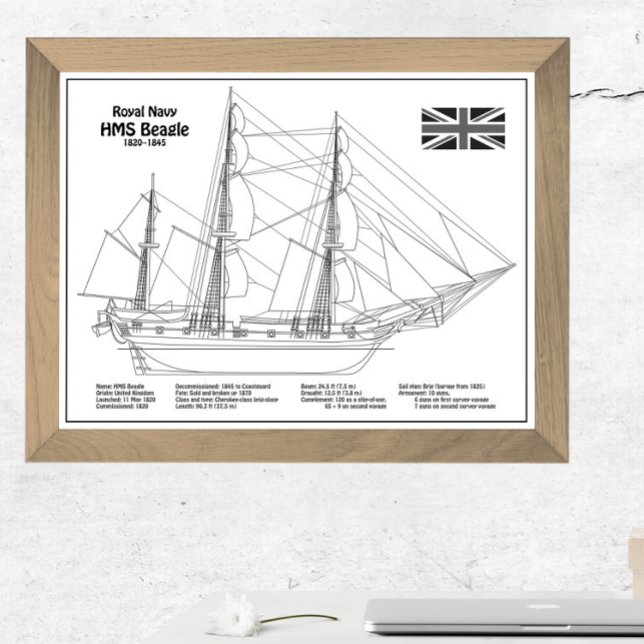 HMS Beagle Tall Frakt - Frakt Blueprint BD Fototryck (Skapare uppladdad)