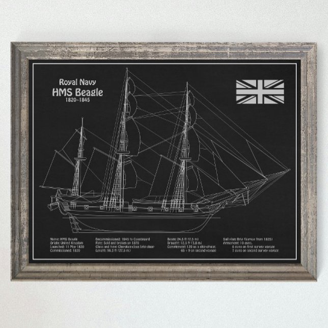HMS Beagle Tall-Frakt - Frakt Blueprint PBD Poster (Skapare uppladdad)