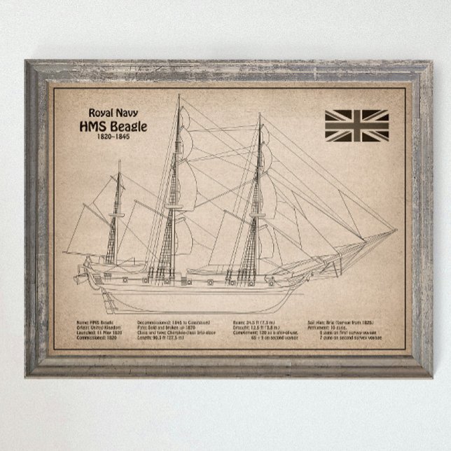HMS Beagle Tall Frakt - Frakt Blueprint SD Poster (Skapare uppladdad)