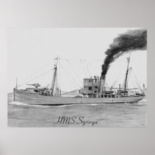 Hms-Syringaaffisch Poster